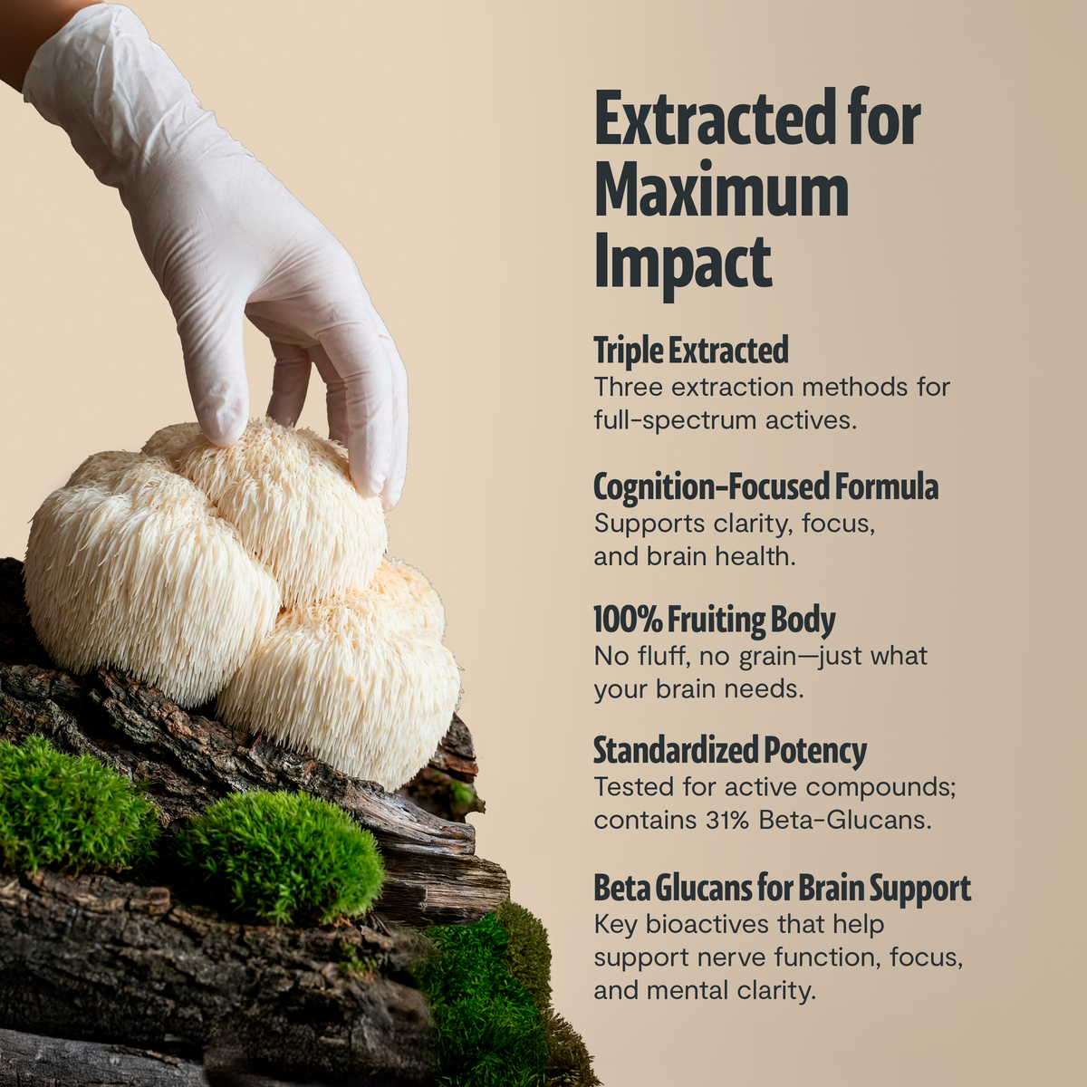 Organic Mushroom Complex Supplement Capsules